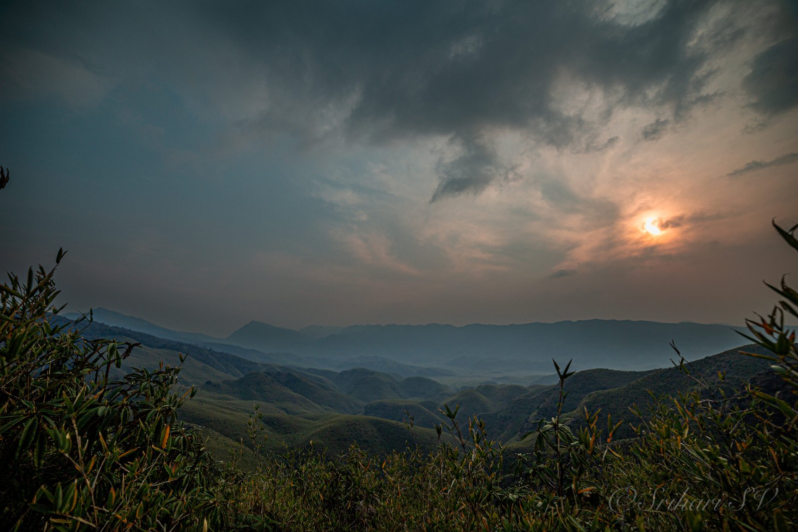 Dzukou Valley 1 (1)