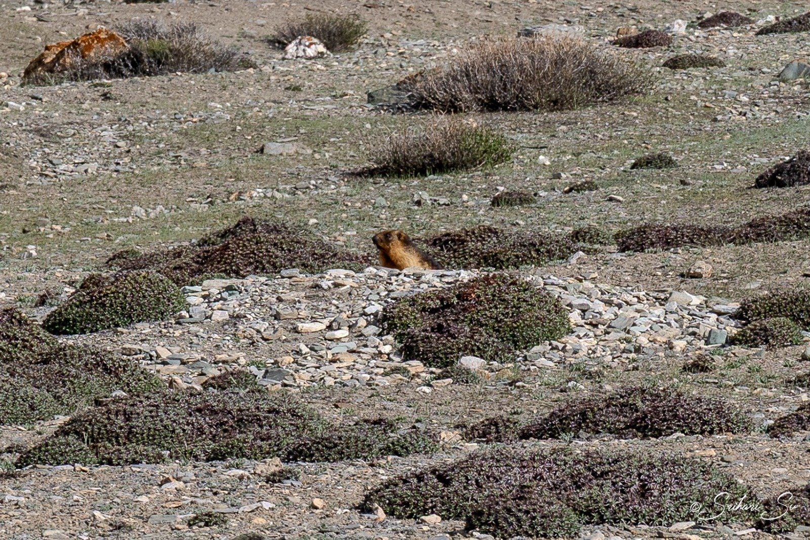 WhatsApp Image 2026-04-28 at 14.48.06 (1)